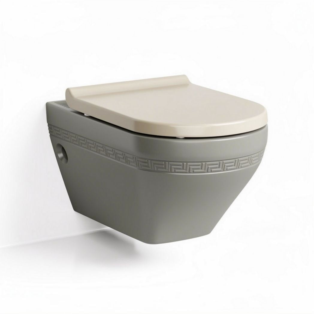 Wall-mounted toilet with sleek design and ergonomic seat in light gray and beige